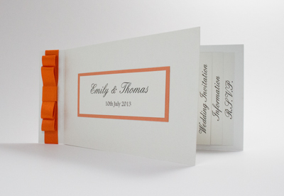 Wedding Invitation Sample of Cheque Book Collection