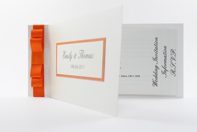 Wedding Invitation Cheque Book Style butterflys