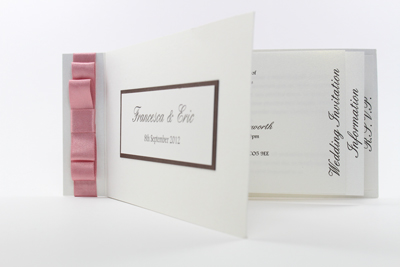 Wedding Cheque Book Invitations Pink